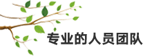 1639731669.png 專業(yè)的人員團(tuán)隊(duì).png