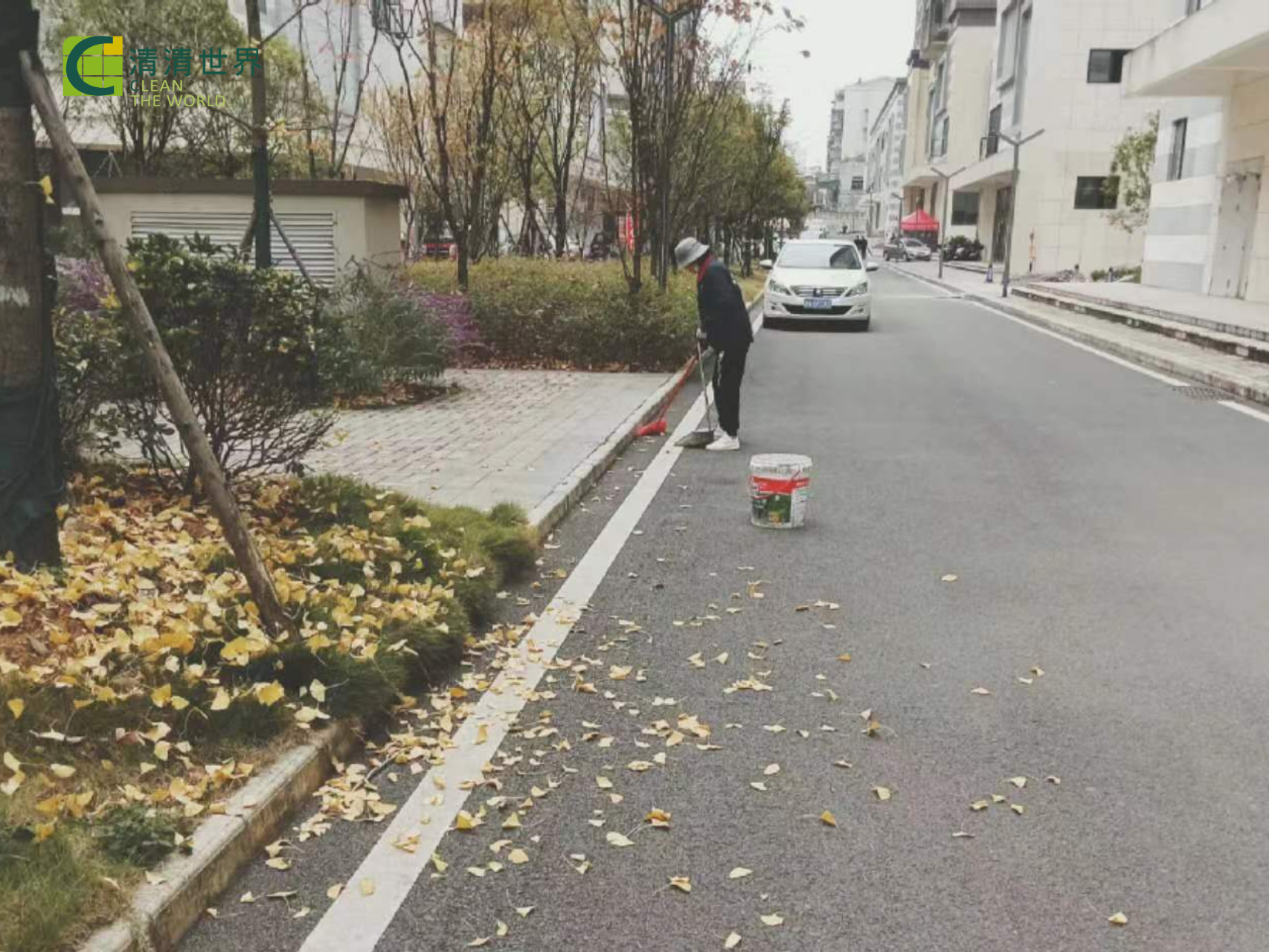 1669276174559082.jpg 10.jpg